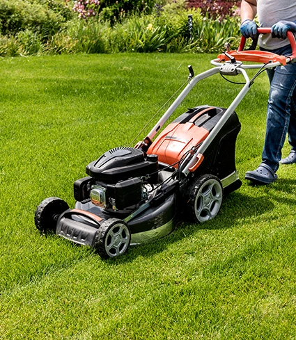 Pielęgnacja ogrodów